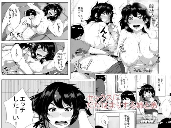 [AKYS本舗] セックスにだだはまりする姉と弟